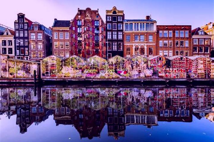 Escorts Tollebeek, Netherlands — Local Companions