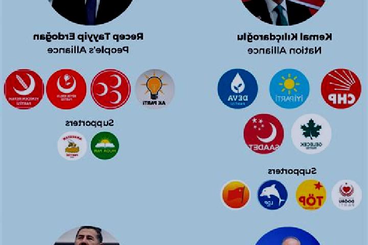 Escorts Tomarza, Turkey — Local Companions