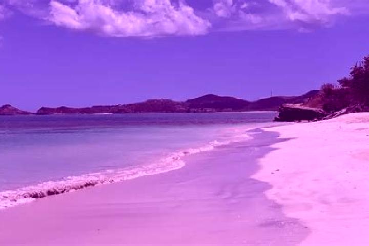 Escorts Tomlinson, Antigua and Barbuda — Local Companions