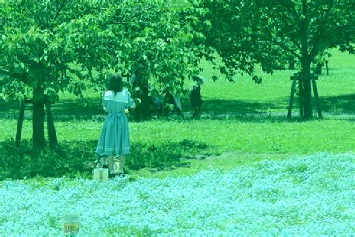 Escorts Toneri, Japan — Local Companions