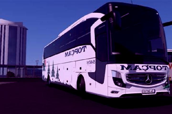 Escorts Topcam, Turkey — Local Companions