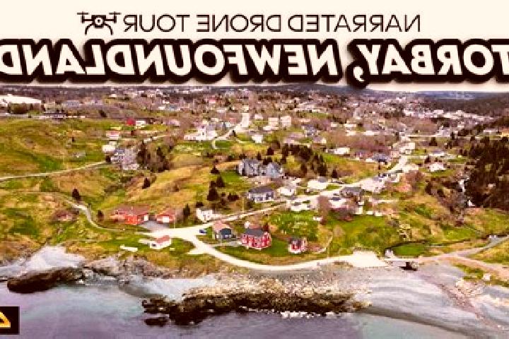 Escorts Torbay, Canada — Local Companions