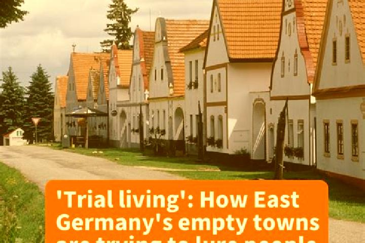 Escorts Tornesch, Germany — Local Companions