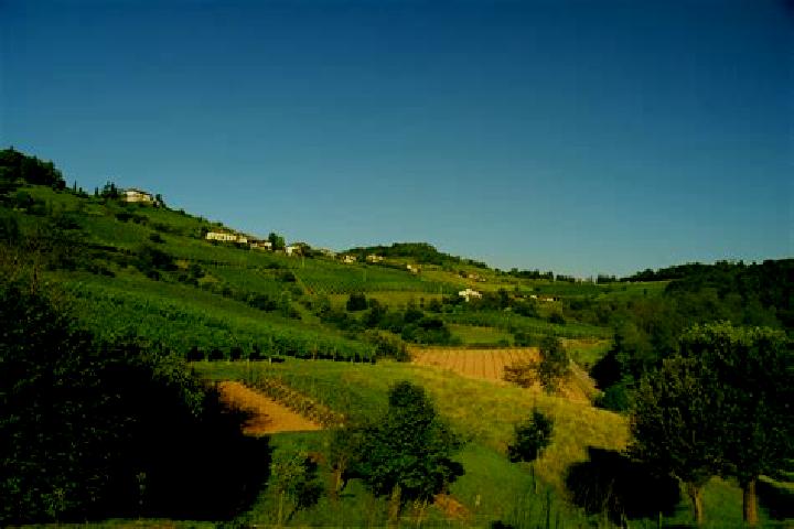 Escorts Torre de Roveri, Italy — Local Companions