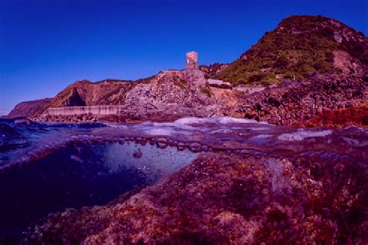 Escorts Torre di Ruggiero, Italy — Local Companions