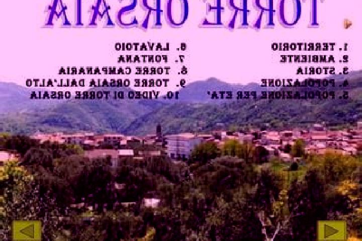 Escorts Torre Orsaia, Italy — Local Companions