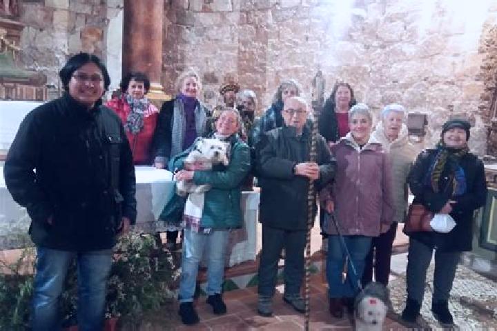 Escorts Torrijo de la Canada, Spain — Local Companions