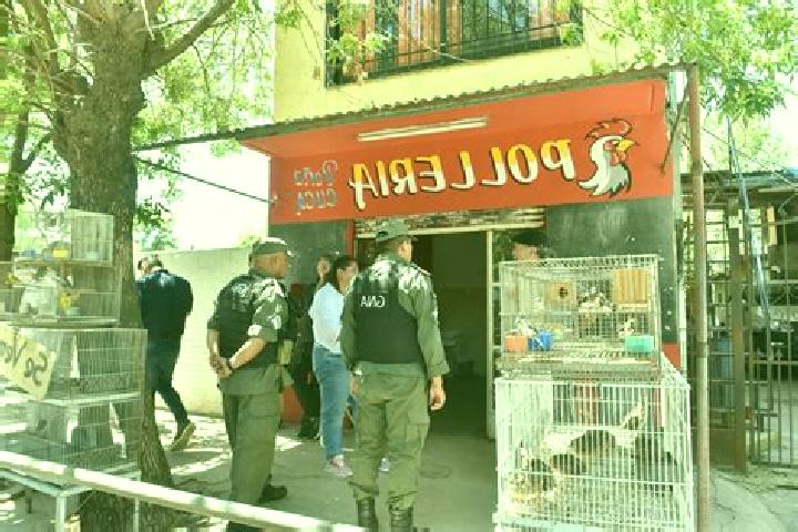 Escorts Tortuguitas, Argentina — Local Companions