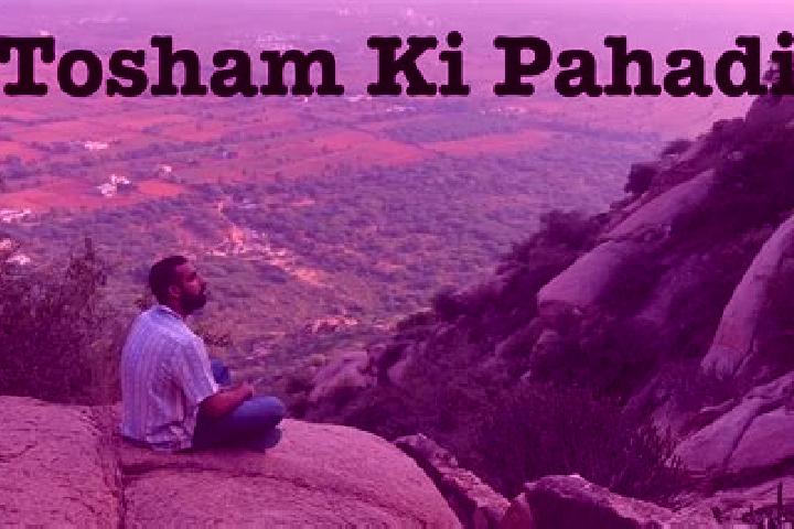 Escorts Tosham, India — Local Companions