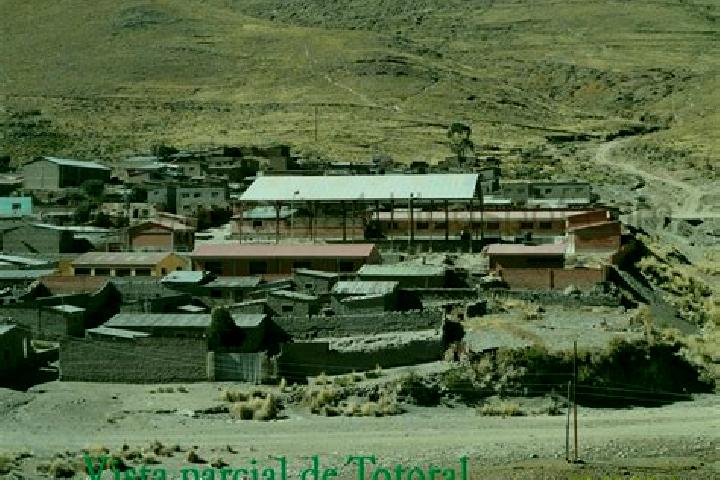 Escorts Totoral, Bolivia — Local Companions