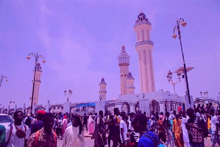 Escorts Touba, Senegal — Local Companions
