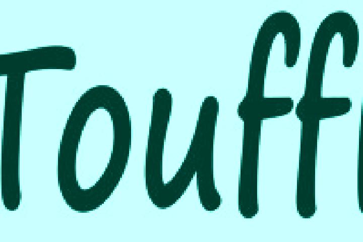 Escorts Toufflers, France — Local Companions