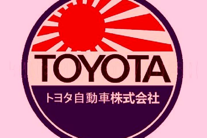 Escorts Toyo, Japan — Local Companions