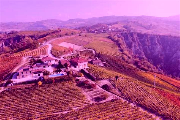 Escorts Treiso, Italy — Local Companions