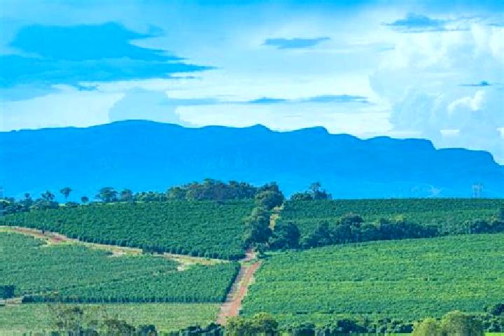 Escorts Tres Pontas, Brazil — Local Companions