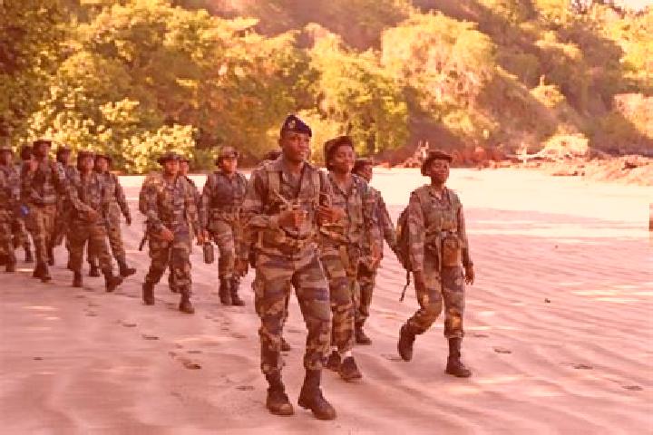 Escorts Trevani, Mayotte — Local Companions