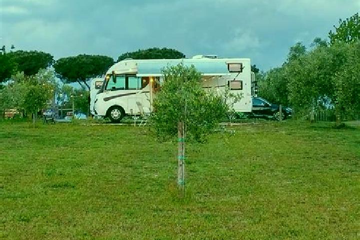 Escorts Trevignano, Italy — Local Companions