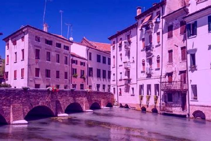 Escorts Treviso, Italy — Local Companions