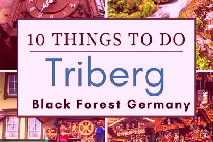Escorts Triberg, Germany — Local Companions