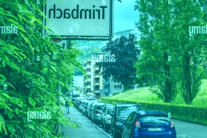 Escorts Trimbach, Switzerland — Local Companions