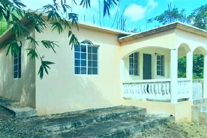 Escorts Trinity Ville, Jamaica — Local Companions