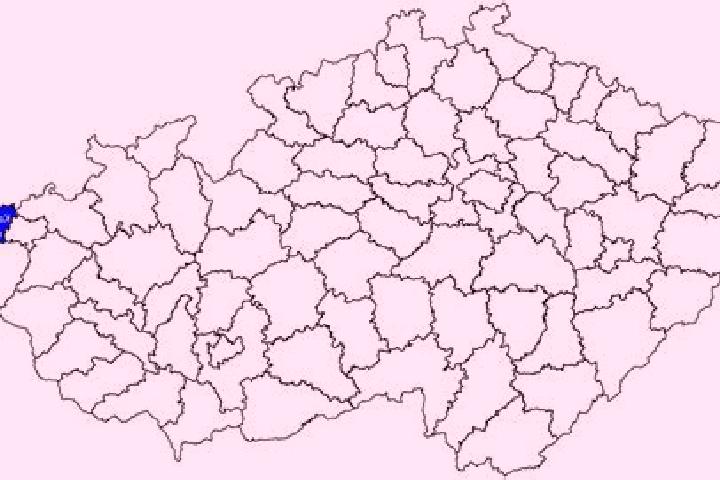 Escorts Trutnov, Czech Republic — Local Companions