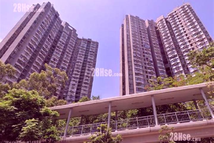 Escorts Tsui Wan Estate, Hong Kong — Local Companions