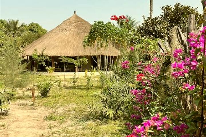 Escorts Tujering, Gambia — Local Companions