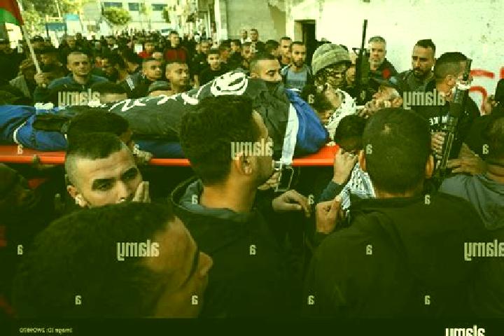 Escorts Tulkarm, Palestine — Local Companions