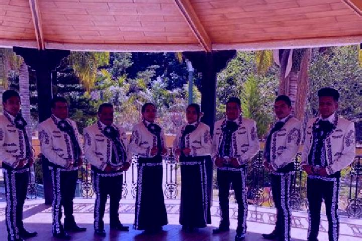 Escorts Tungareo, Mexico — Local Companions