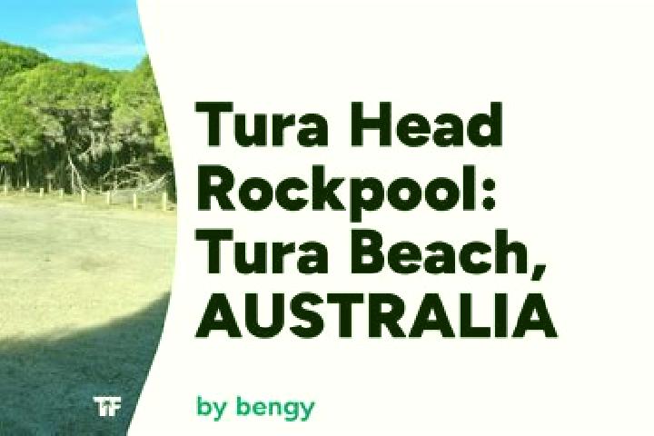 Escorts Tura Beach, Australia — Local Companions
