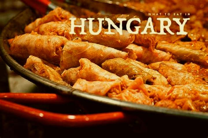 Escorts Turkeve, Hungary — Local Companions