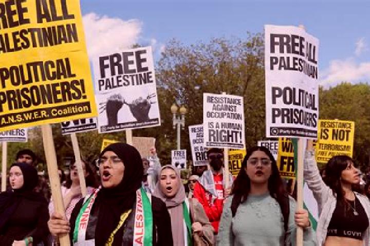 Escorts Turmus ayya, Palestine — Local Companions
