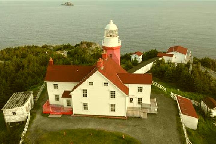 Escorts Twillingate, Canada — Local Companions