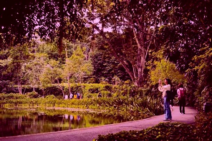 Escorts Tyersall Park, Singapore — Local Companions