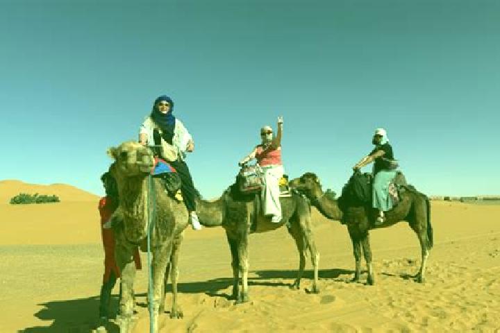 Escorts Uad Damran, Western Sahara — Local Companions