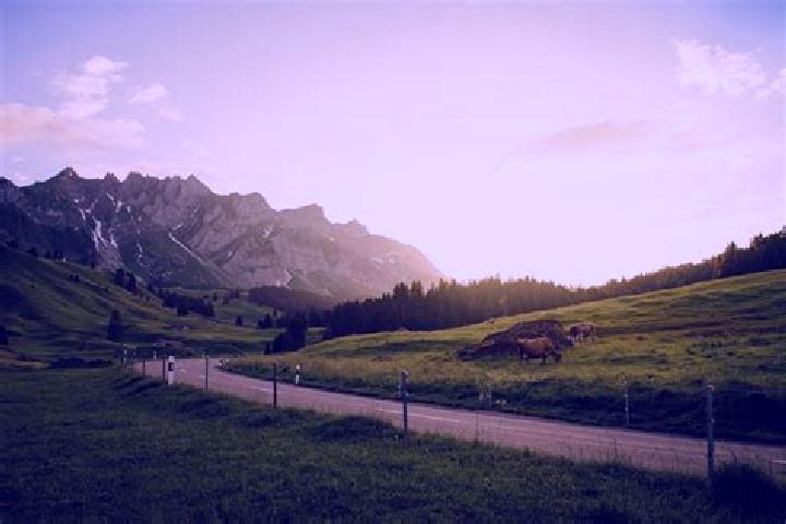 Escorts Uhwiesen, Switzerland — Local Companions
