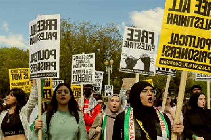 Escorts Umm at Tut, Palestine — Local Companions
