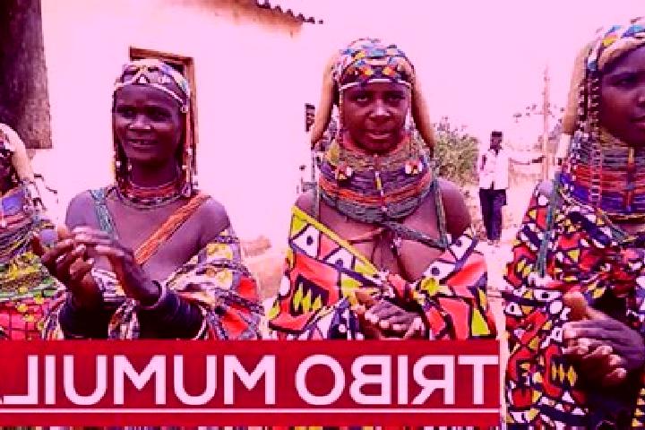Escorts Umpulo, Angola — Local Companions