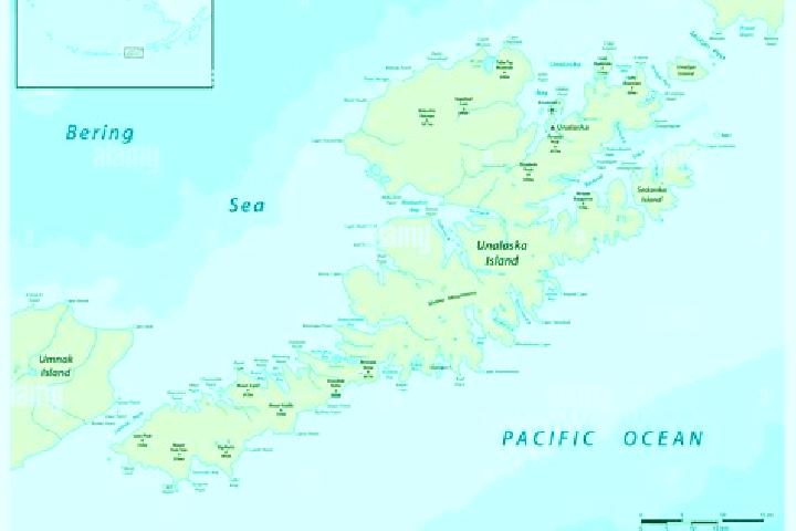 Escorts Unalaska, United States — Local Companions