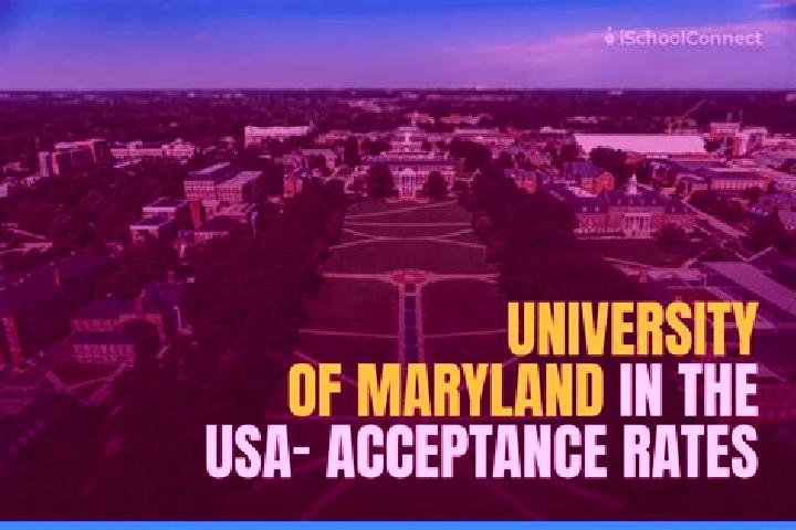 Escorts University Of Maryland, United States — Local Companions