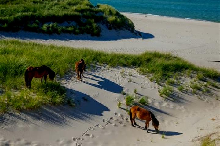 Escorts Upper Island Cove, Canada — Local Companions
