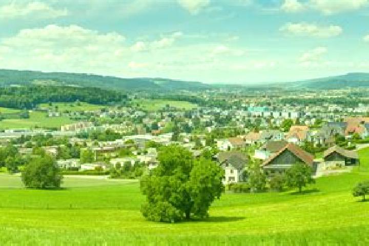 Escorts Urdorf / Bodenfeld, Switzerland — Local Companions