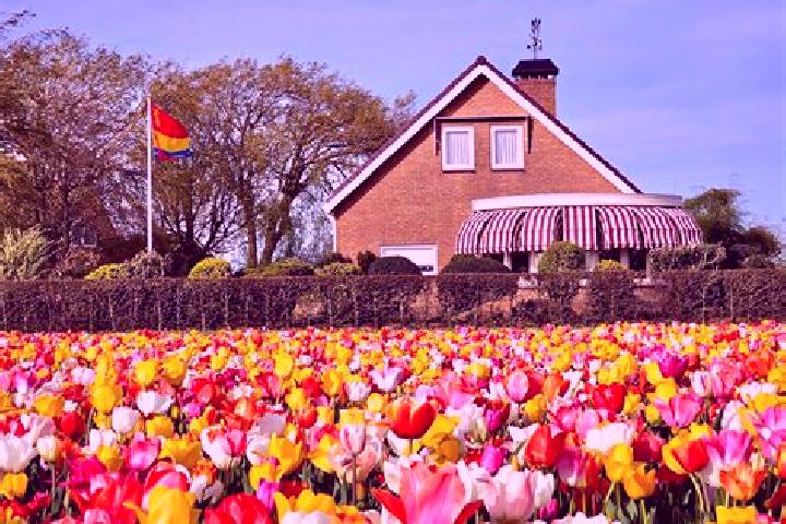 Escorts Urmond, Netherlands — Local Companions