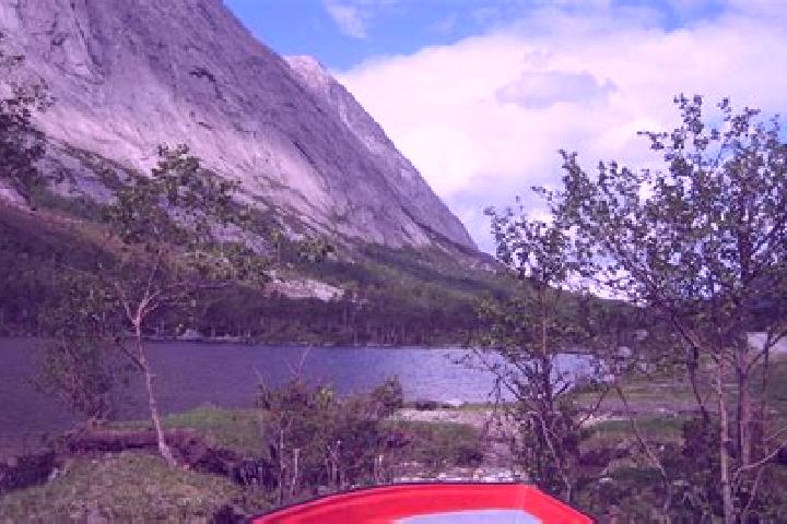 Escorts Uskedalen, Norway — Local Companions