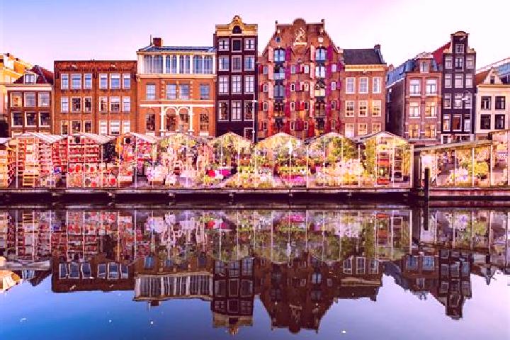 Escorts Utrecht, Netherlands — Local Companions