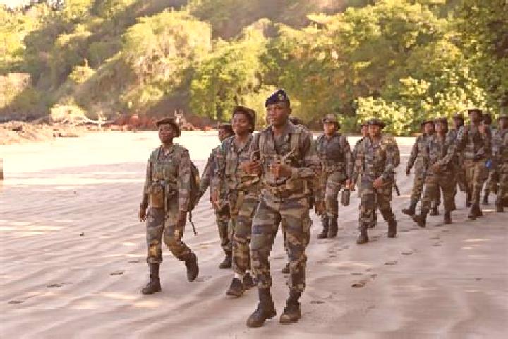 Escorts Vahibe, Mayotte — Local Companions