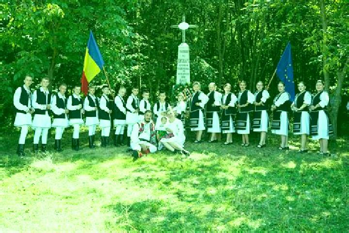 Escorts Valcani, Romania — Local Companions