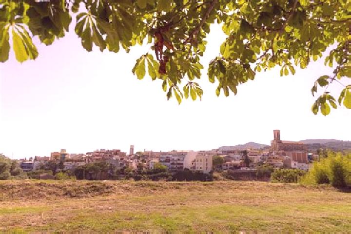 Escorts Valderrobres, Spain — Local Companions