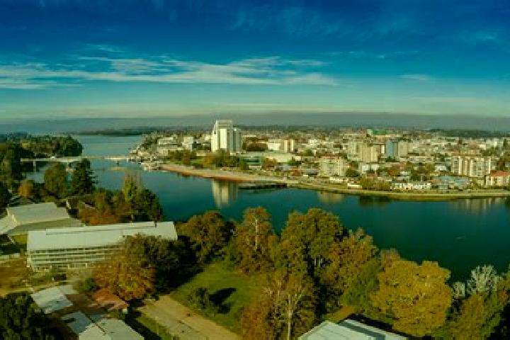 Escorts Valdivia, Chile — Local Companions